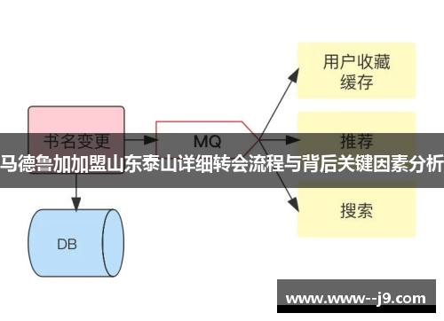 马德鲁加加盟山东泰山详细转会流程与背后关键因素分析