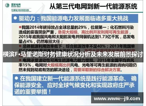 横滨F·马里诺斯财务健康状况分析及未来发展前景探讨