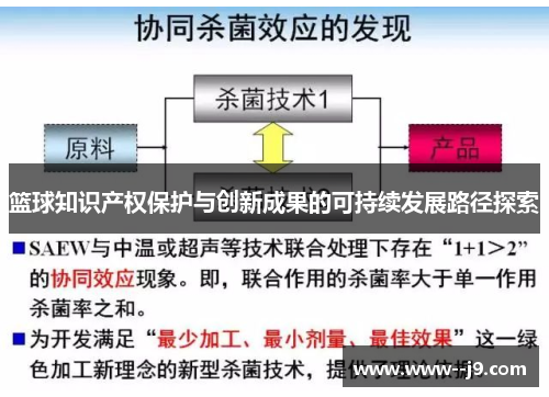 篮球知识产权保护与创新成果的可持续发展路径探索 篮球知识产权保护与创新成果的可持续发展路径探索